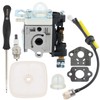 Hipa PB250 Carburetor for Echo PB250LN PB-250 ES250 Leaf Blower