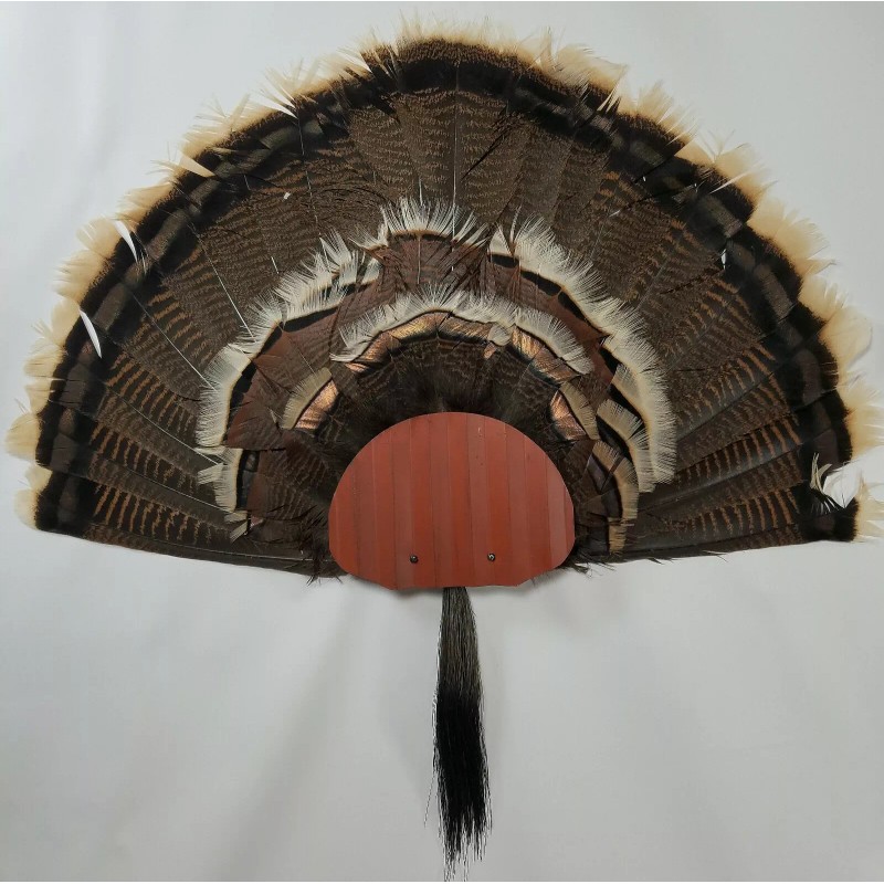 Walnut Hollow Turkey Fan and Beard Mounting Kit (Rustic Red)