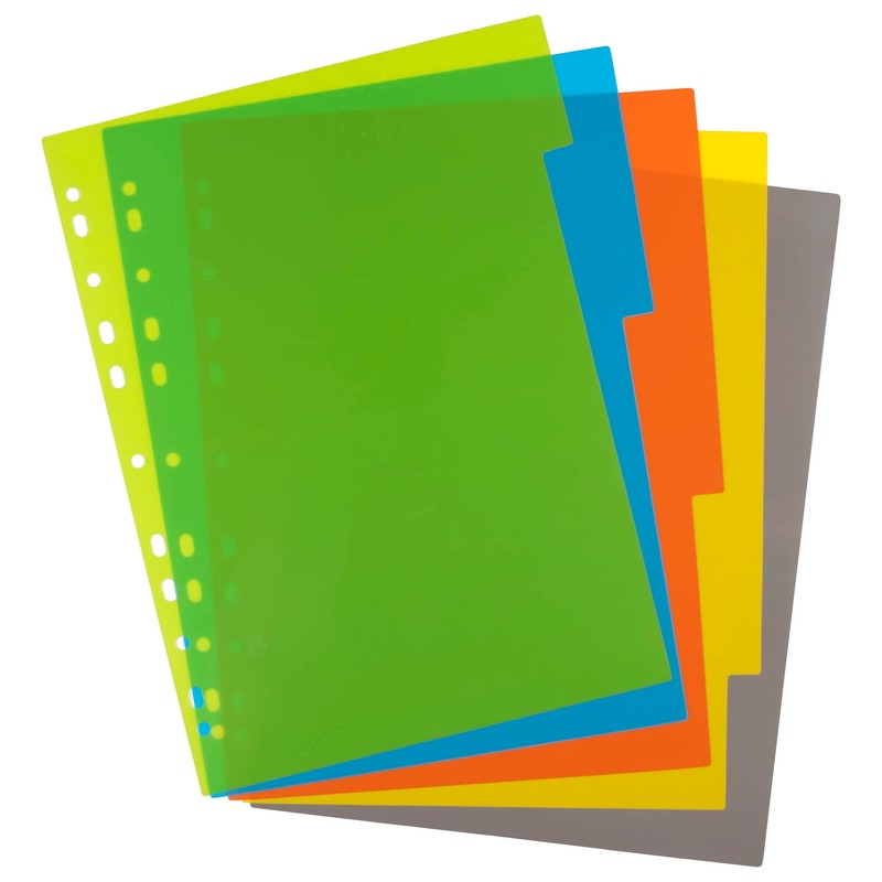 eco-eco A4 50% Recycled Multipunched Reinforced Colour Set 5 Subject