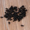 Black Screw Set, M3 6mm Round Nylon Screws for Wood,