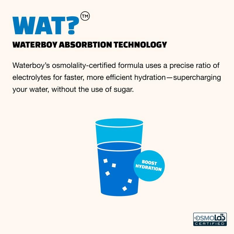 Waterboy Daily Hydration | 4x Electrolytes & Sugar Free |