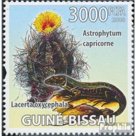 Guinea-Bissau 3868 (complete. issue) unmounted mint/never hinged ** MNH 2008 Cacti and Eidechsen (Stamps for collectors) Amphibians/reptiles/dinosaurs
