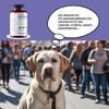 Animaux – Daily Balance for Dogs Herbal Support for Peace