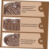 Mikinona 1Pc Natural Woven Rattan Fruit Basket Creative Tabletop Snack