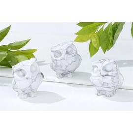 YATOJUZI Owl Decor Howlite Natural Healing Crystals Stones White Cute Decors Owls Statues Figurines Sculpture Hand-Carved Gemstones Energy Reiki Home Room Office Desk Decoration Gifts for Women Men