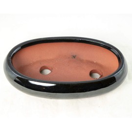 Flat Narrow Oval Black Bonsai Pot, Cactus & Succulent Planter + mesh - 7.25"x 4.5"x 1.75" (688-7K)
