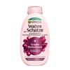 Garnier True Treasures Grape Moisture Shampoo 250 ml