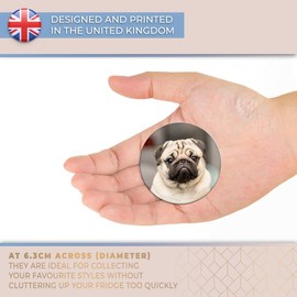 Destination Vinyl ltd Magnet for Refrigerator, Fridge - Cute Tan Pug Dog Pet Animals Puppies for Office, Cabinet and Whiteboard, Magnetic Stickers, 8632