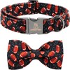 Lionheart glory Dog Collar Bowtie Collar Dog Rugby Dog Collar