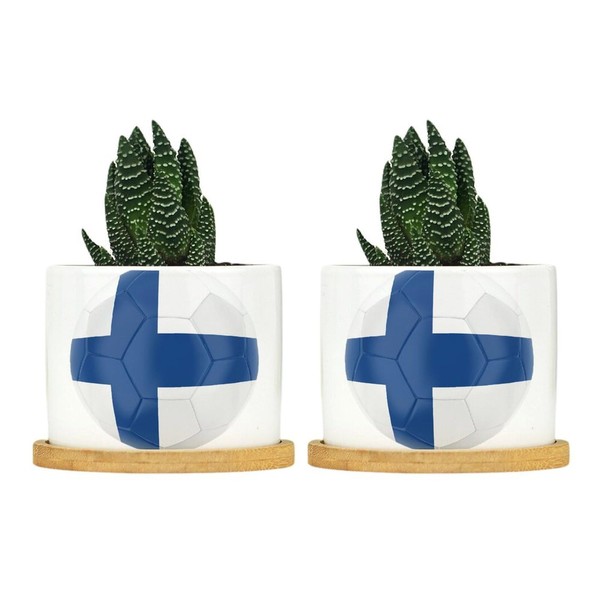 DecStic Soccer Finland Flag Ceramic Planters Snake Plant Live Indoor