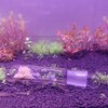 2 Pack 3 Holes Planaria Trap for Aquarium Bristle Worm