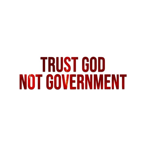 Trust God Not Government Decal Vinyl Sticker Auto Car Truck