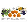 JEM Pansy & Violet Cutters, Set of 4