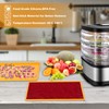 6PCS Silicone Dehydrator Sheets with Edge,Avkast Fruit Leather Trays Compatible