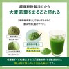 リビタ大麦若葉青汁（3g×30袋入）