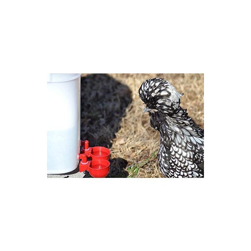 RentACoop Automatic Chicken Water Cup Waterer Kit for Poultry -