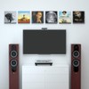 NIUBEE Acrylic Record Rack Wall Mount LP Album Cover Stand