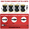 FairyGlim Christmas Lights Outdoor 100LED 33FT, Green Wire Connectable Christmas