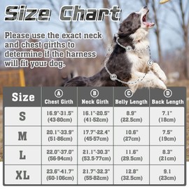 rabbitgoo Dog Harness No Pull, Military Dog Harness for Large Dogs with Handle & Molle, Easy Control Service Dog Vest Harness Training Walking, Adjustable Reflective Tactical Pet Harness, Dark Grey, L