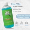 Shampoo Con Aloe Vera Brillo E Hidratación Productos Mart Mexico