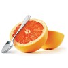 RSVP International Endurance Grapefruit Tool Collection Stainless Steel, Dishwasher Safe,