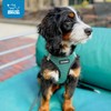 Voyager Step-in Air Dog Harness - All Weather Mesh, Reflective,