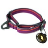 OllyDog Martingale Mesa, Limited Cinch Slide-On Martingale Collar for Dogs