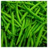 Everwilde Farms - 1 Oz Organic Provider Green Bean Seeds