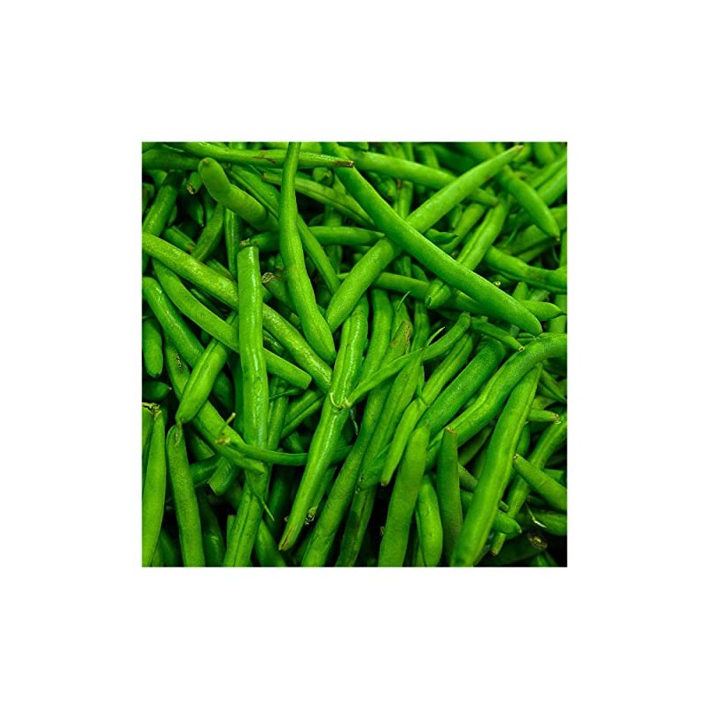 Everwilde Farms - 1 Oz Organic Provider Green Bean Seeds