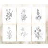 Modern Botanical Prints | Black and White Wildflowers by Ink