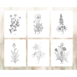 Modern Botanical Prints | Black and White Wildflowers by Ink Inc. | Minimalist Flower Line Drawings | Set of 6 8x10 Unframed