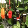 6Pack Emergency Survival Whistle, 3-in-1 Emergency Whistles,Whistle for Coaches Teachers,