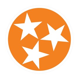 Craftique Tennessee Vols Large 12" Orange Tri-Star Auto Magnet