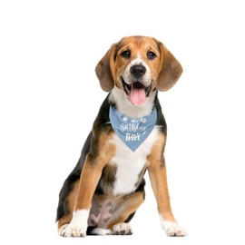 Birthday Boy Dog Bandana, Dog Bandanas Boy, Printed Dog Bandana Pet Scarf, for Dogs Pet Accessories, Dog Bandana Gift, Dog Birthday Party Supplies, Dog Bandana for Small Medium Dogs (D30)