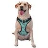 Cute Dachshund No Pull Dog Harness Adjustable Soft Padded Pet