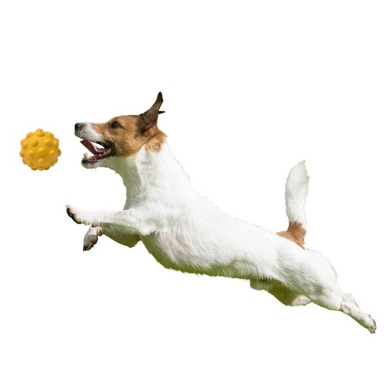 PLATZ PET SUPPLIES & FUN Dog Toy Atomic Ball Mini