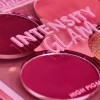 Cuarteto De Sombras Para Ojos Paleta Intensity Glam Pink Up