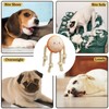 Plush Dog Toys with Squeakers,Medium Dogs Plush Toy - with