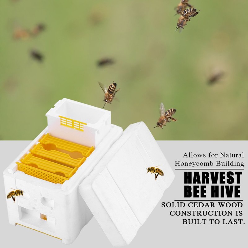 Wifehelper Beekeeping Queen Breeding Box EPS Harvest Bee Hivess Pollination