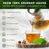 40 Premium Soursop Graviola Leaf Tea Bags, 100% Natural and