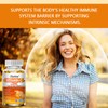 Daitea Vitamin C + Zinc 120 Softgels, Support skin health,