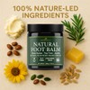Organic Tea Tree Foot Cream for Dry Cracked Feet, Heels,