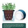D'vine Dev 4 Inch Design Self Watering Planter for Indoor