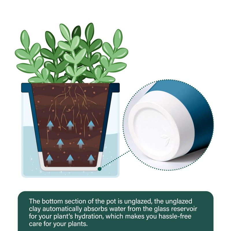 D'vine Dev 4 Inch Design Self Watering Planter for Indoor
