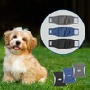 Teamoy Dog Manners Belt, Set of 3, Mesh Lining, Waterproof