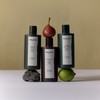 Longtake [롱테이크]샴푸 (샌달우드/블랙티앤피그/바질앤베티버) [Longtake] Shampoo (Sandalwood/Black Tea and Fig/Basil and