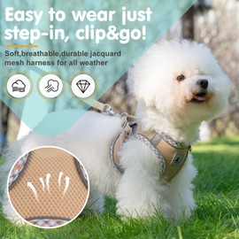 TomteNisse Dog Harness and Leash Set, No Pull Pet Harness for Small Dogs Easy Walking,Soft Breathable Small Dog Harness,Adjustable Reflective Step in Vest Harness for Puppy,Kitten, Cats