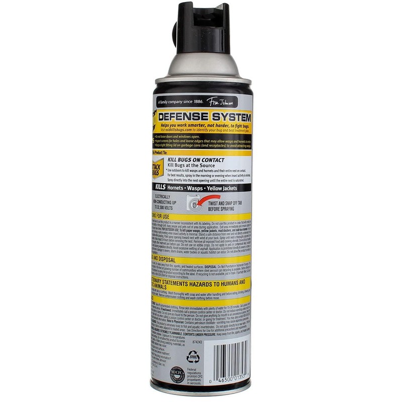Raid Wasp & Hornet Killer Spray 14 oz (Pack of