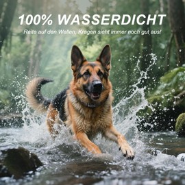 JIARUI Tactical Dog Collar with Airtag Holder, Dog Collar with Handle, IP68 Waterproof Airtag Collar Dog, Adjustable with Metal Buckle for Medium Large Dogs