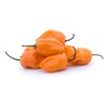 30 Semillas Chile Habanero Orange Naranja Nuevas Fertiles